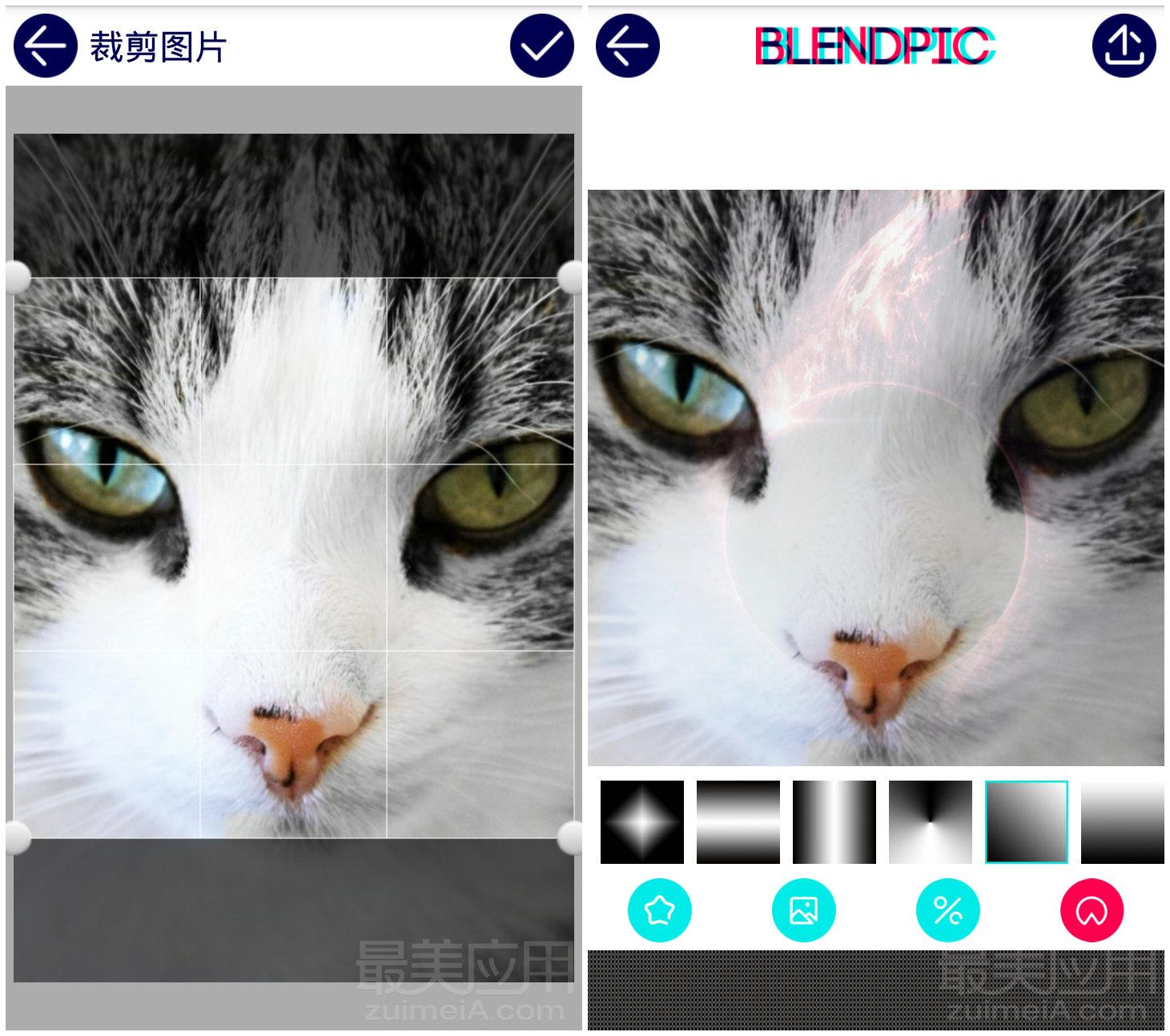 安卓版blenderblender模型库网站