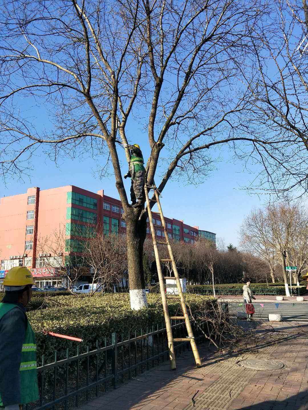 清墩安卓版舟山网联游戏大厅下载