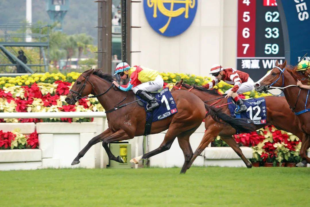 赛马hkjctv安卓版香港有线电视18台赛马直播app-第2张图片-太平洋在线下载
