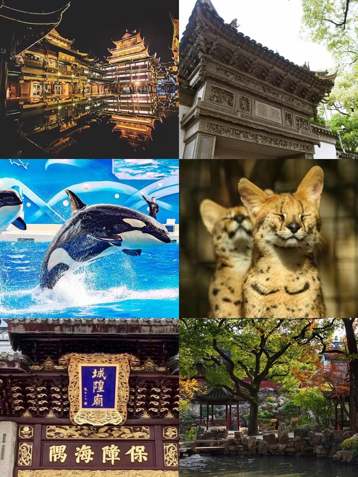 上海古建筑手机版上海博物馆预约官网app-第2张图片-太平洋在线下载