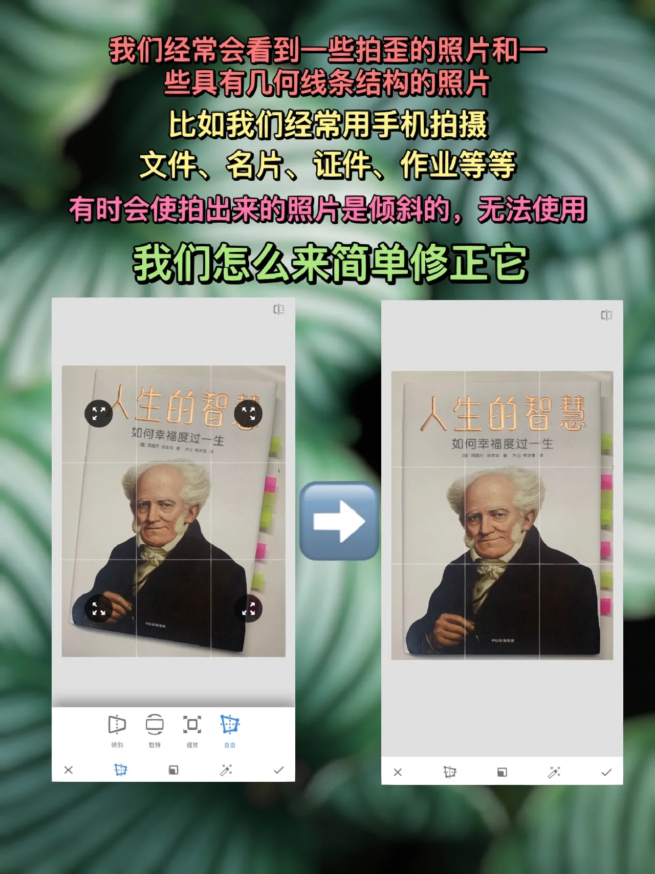 snapseed安卓蒙版snapseed免费版官网