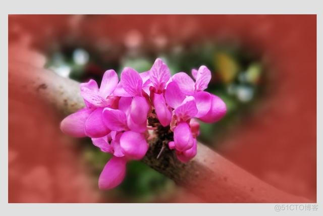 snapseed安卓蒙版snapseed免费版官网-第2张图片-太平洋在线下载