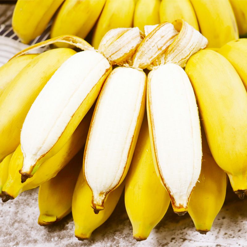 苹果铃声版banana把苹果说成banana的视频