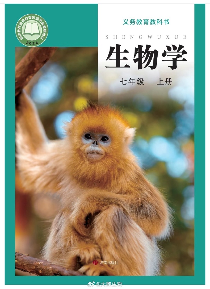 秒书手机客户端注册app短信验证码平台-第2张图片-太平洋在线下载