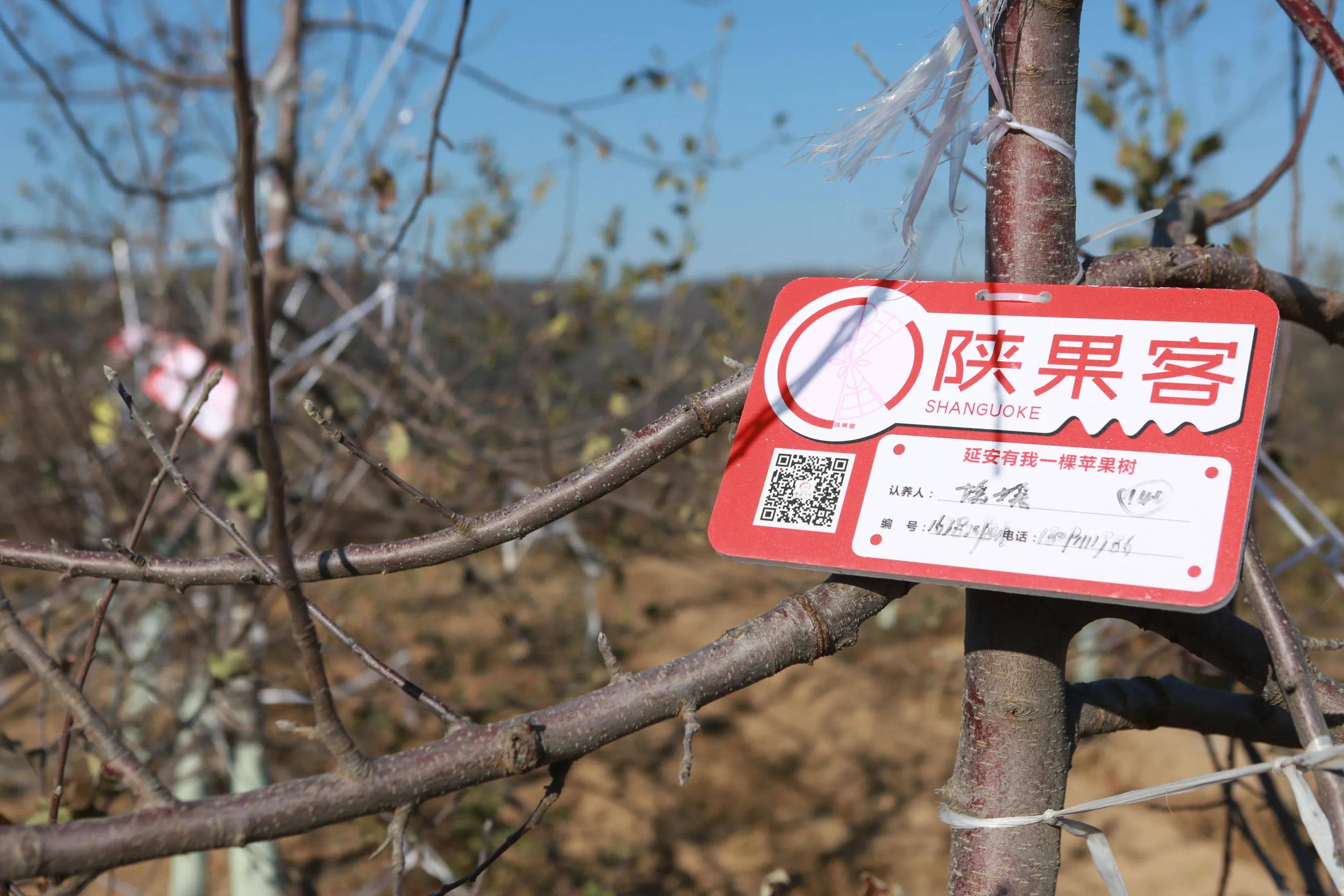 粤语版延安苹果苹果怎么设置粤语-第2张图片-太平洋在线下载