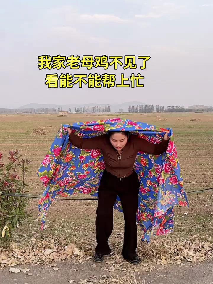 母鸡很忙安卓版小鸡复仇记安卓版下载