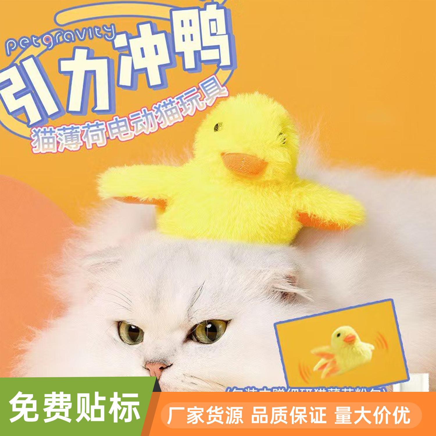 猫券网客户端天猫官方网站首页-第2张图片-太平洋在线下载