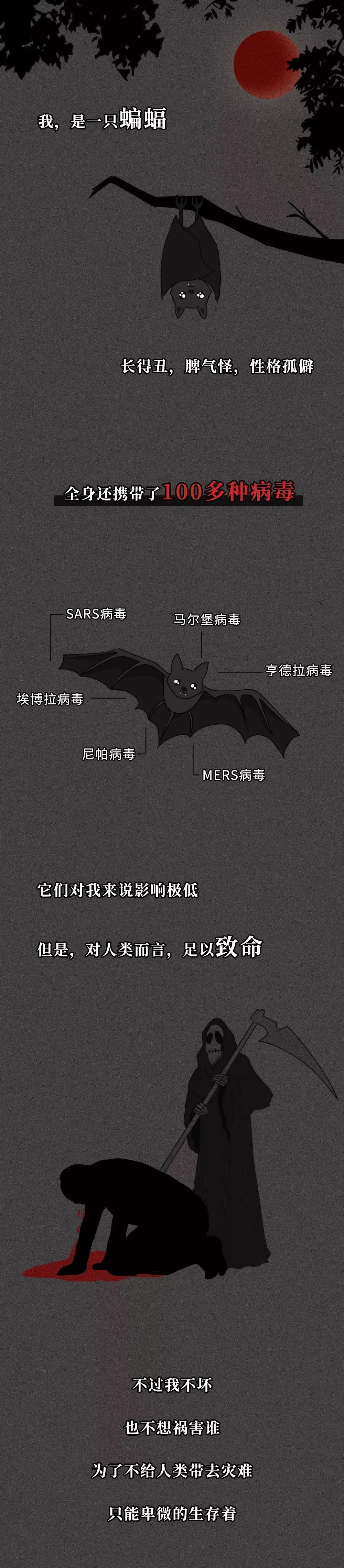 蝙蝠苹果版下载链接蝙蝠app电脑版下载官方