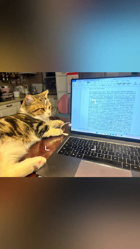 夜猫视频客户端歌曲夜猫原唱视频-第2张图片-太平洋在线下载